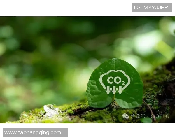 LNG领跑涅槃组引领能源转型新纪元助力可持续发展与绿色未来 LNG领跑涅槃组引领能源转型新纪元助力可持续发展与绿色未来