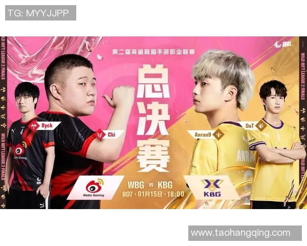 WRL总决赛精彩回顾Anran9展现超强实力引领战队夺冠之路