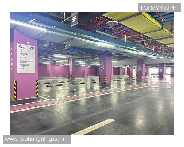 优化观众停车区域划分提升活动体验与交通效率的综合方案 优化观众停车区域划分提升活动体验与交通效率的综合方案